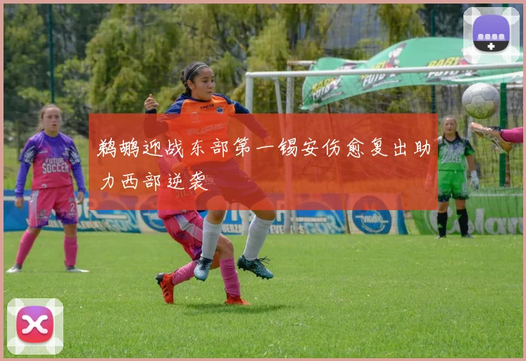 鹈鹕迎战东部第一锡安伤愈复出助力西部逆袭